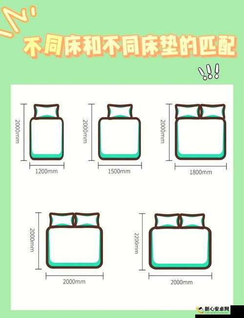 17 厘米乘以 15 厘米：实用尺寸指南